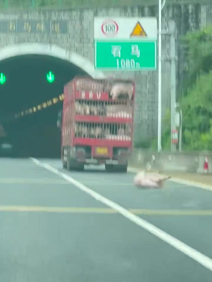 前一秒还在说这车好松散下一秒我直接人傻了