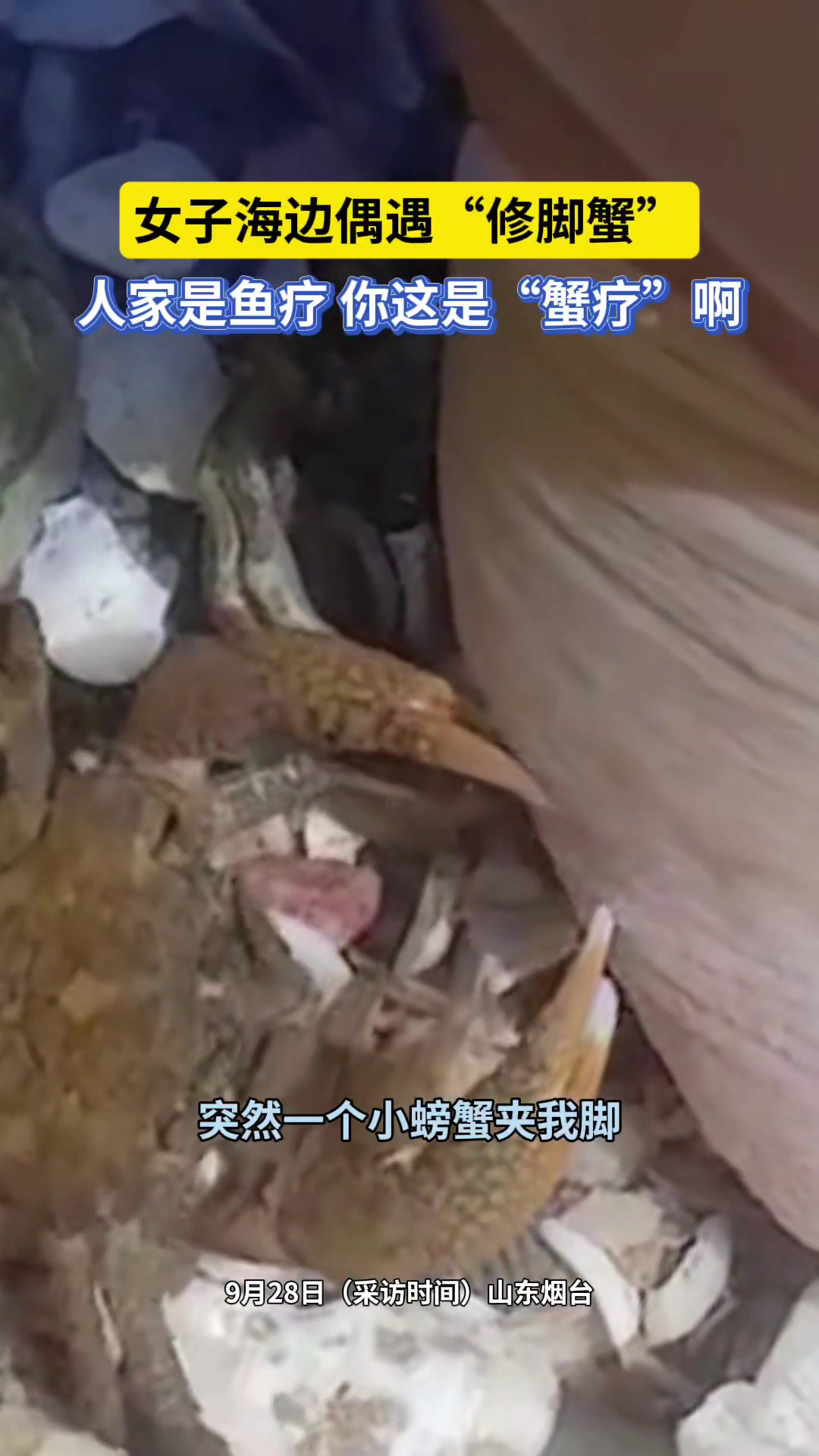 女子海边偶遇“修脚蟹”人家是鱼疗你这是“蟹疗”啊