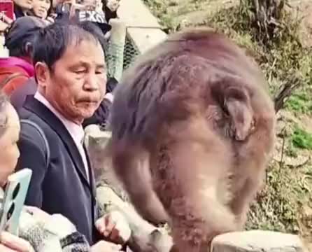 大叔这是真冤枉啊！