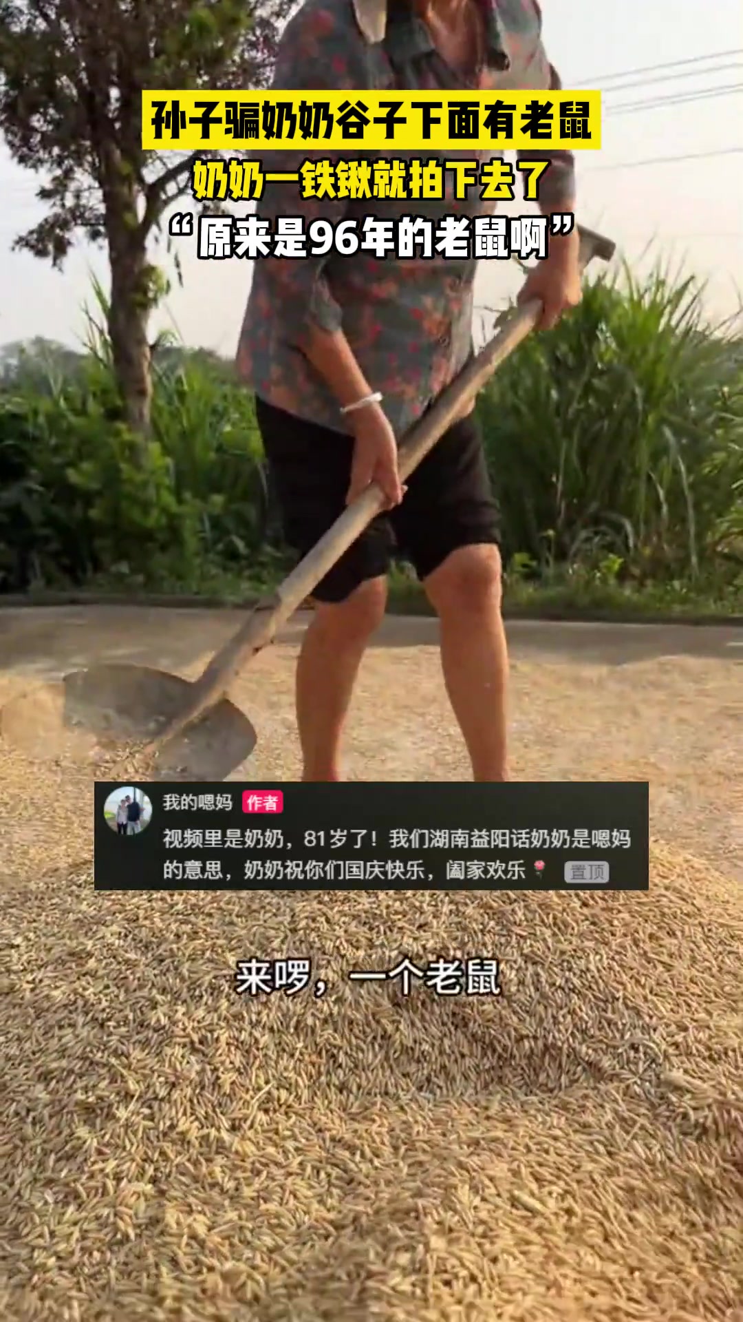 孙子骗奶奶谷子下面有老鼠，下一秒孙子悲剧了