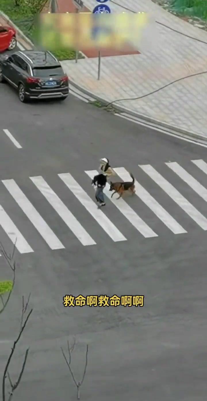 你跑，她追，他们都插翅难飞！