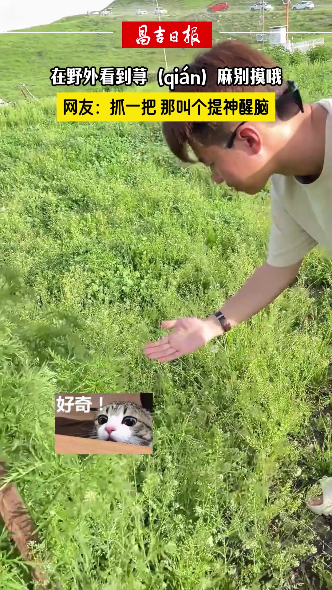 遇到荨qin麻一定要碰！我一直念寻原来念错了！