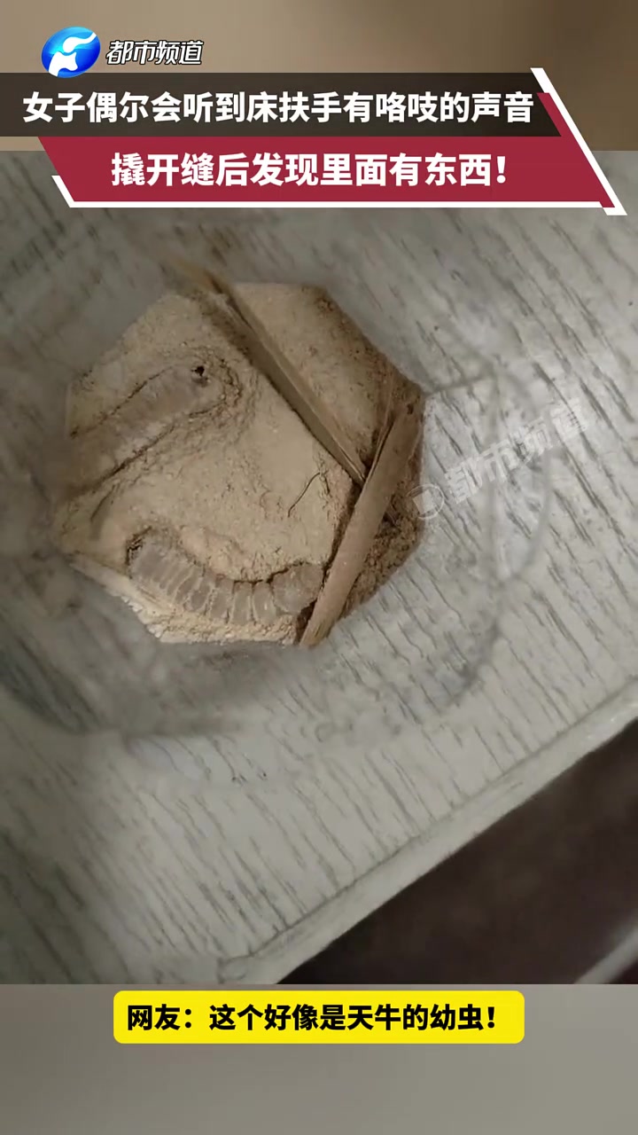 也许你家的床头里也都是虫子！