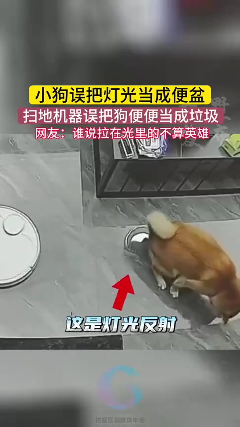 狗：我拉！机器人：我拖！这就是我们热血沸腾的组合技！主人：6