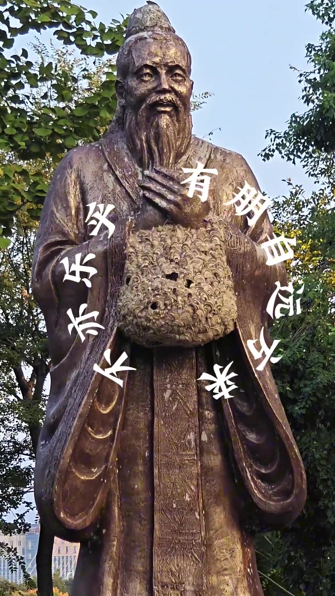 马蜂在孔子雕像上“安家”