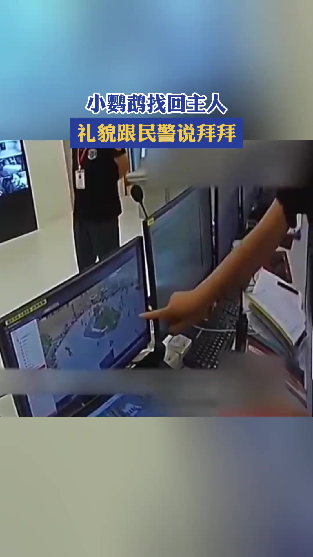 小鹦鹉找回主人礼貌跟民警说拜拜