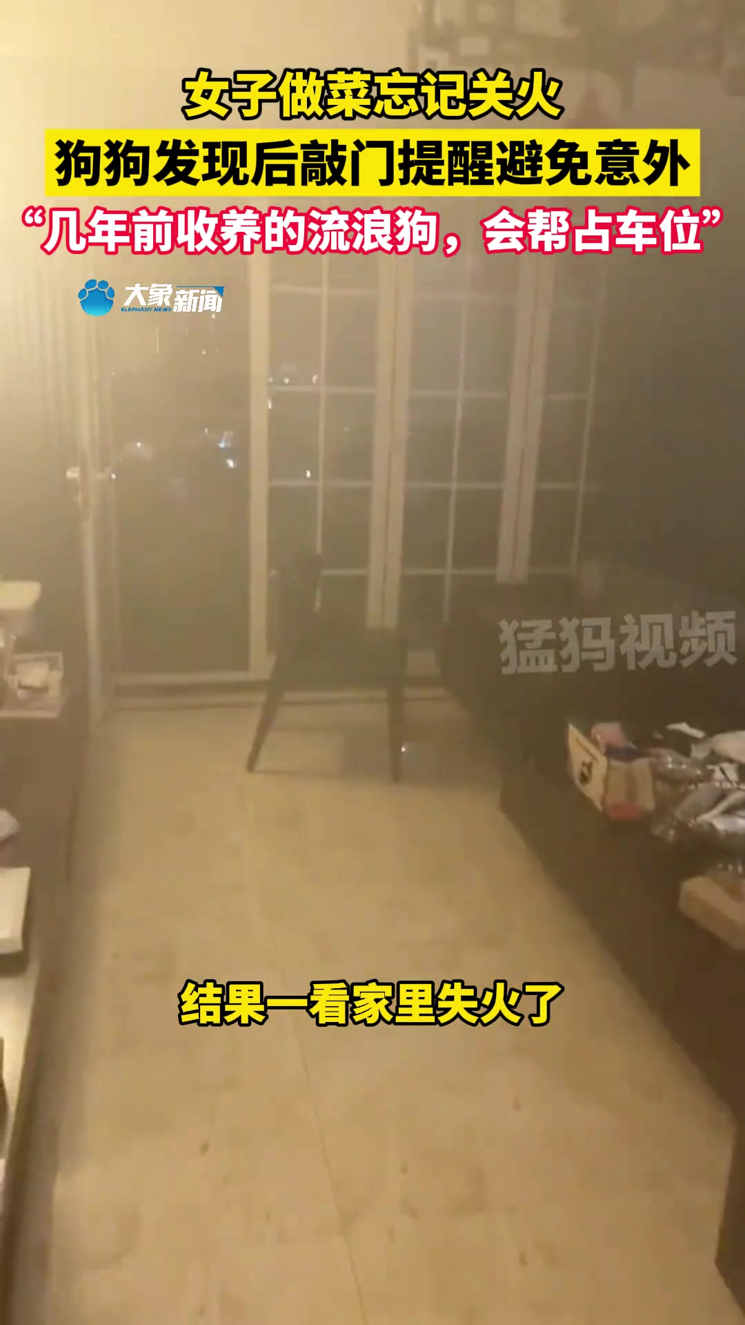 女子做菜忘记关火，狗狗发现后敲门提醒避免意外