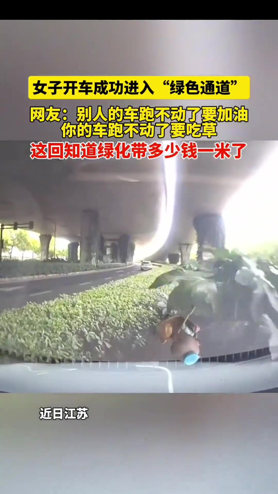 女子开车成功进入“绿色通道”