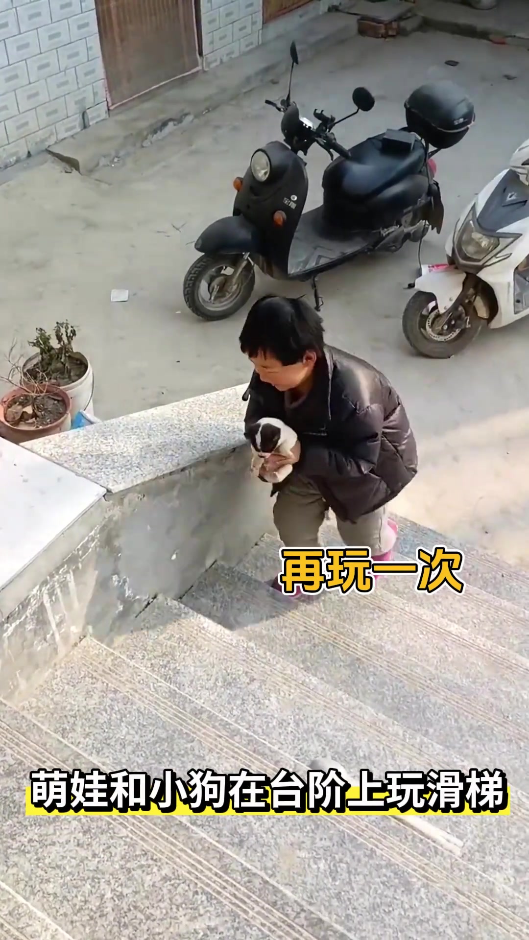 萌娃和小奶狗玩滑梯，两个小朋友之间互相信任