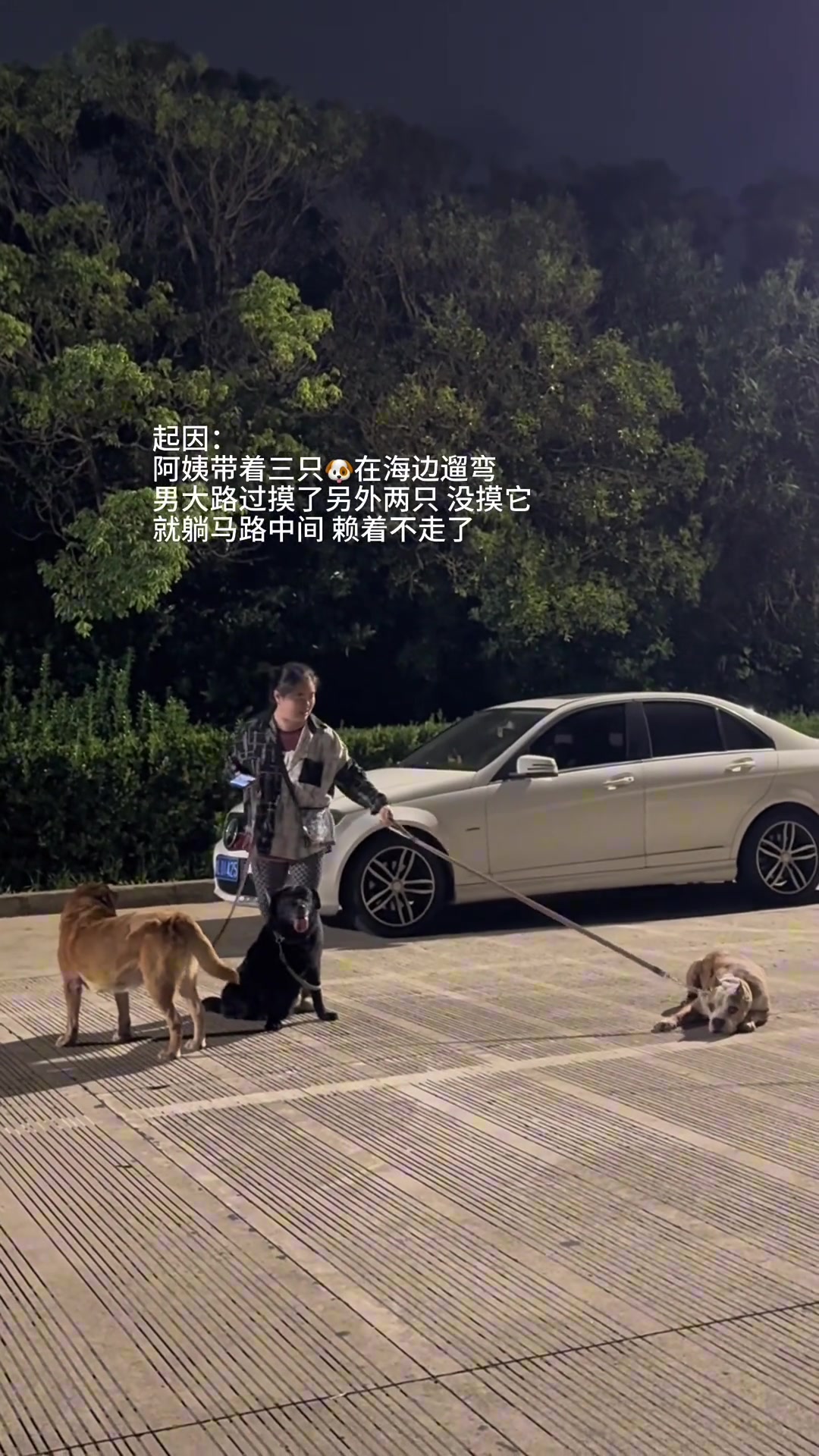 三狗一街，两宠一闹！
