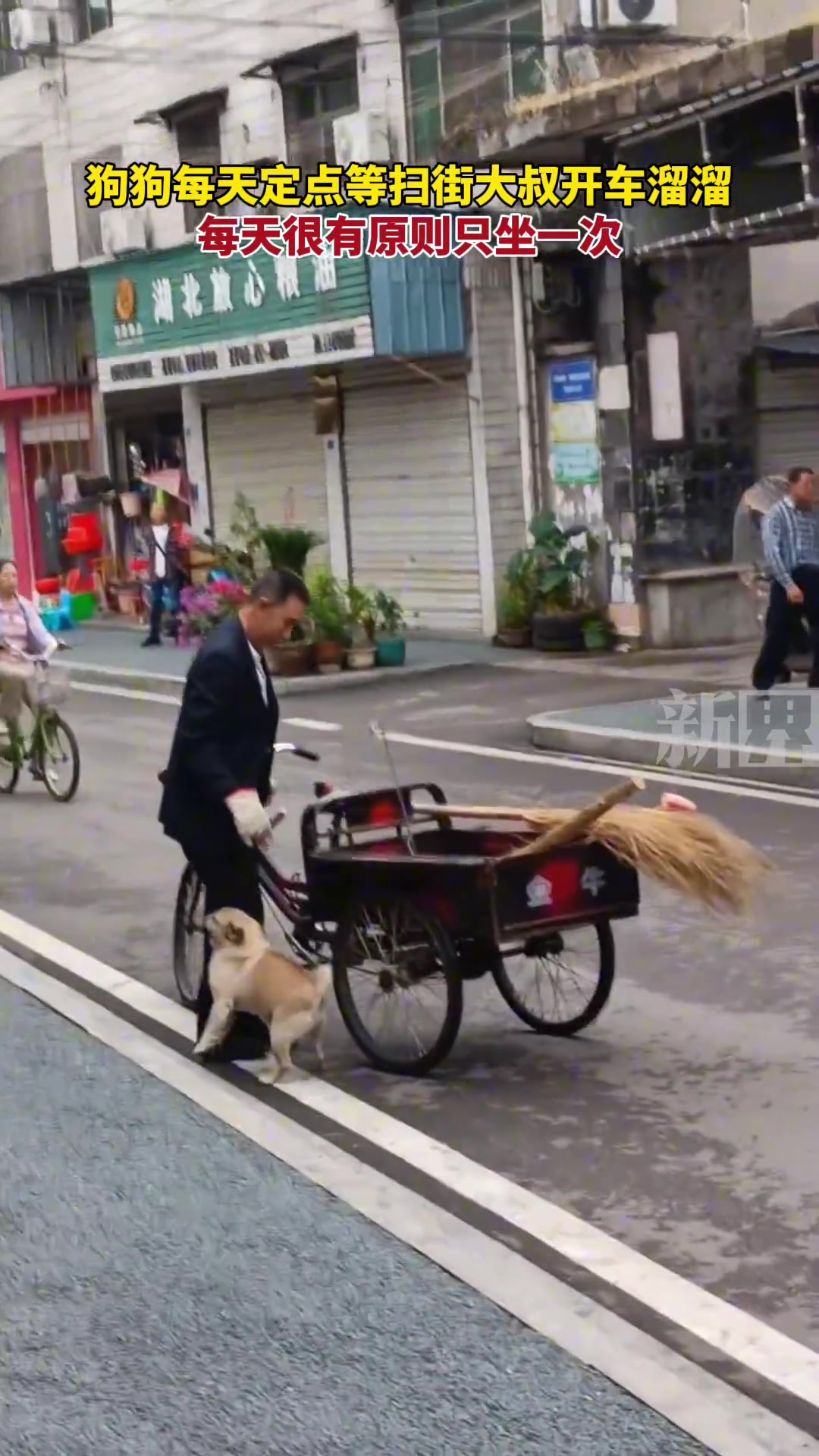 狗狗每天定点等扫街大叔开车溜溜，每天很有原则只坐一次