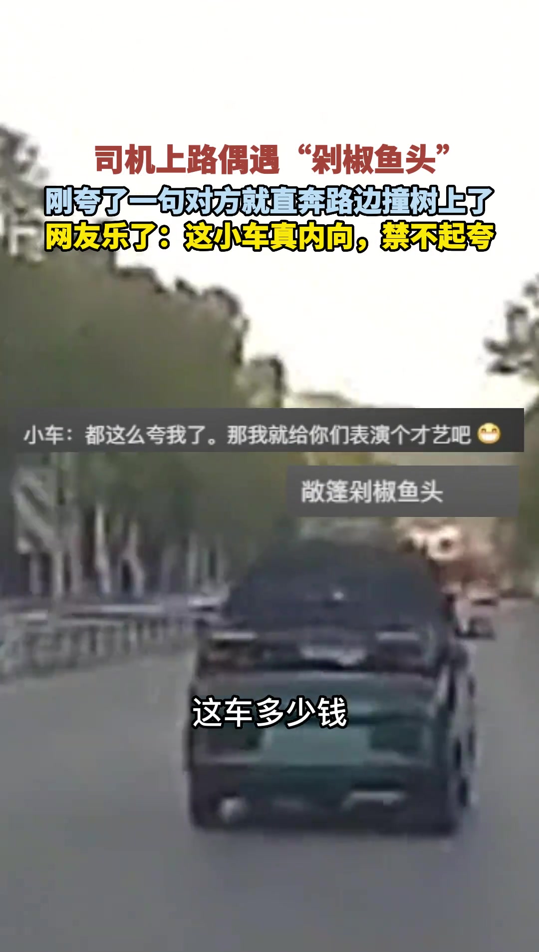 司机上路偶遇“剁椒鱼头”，刚夸了一句对方就直奔路边撞树上了