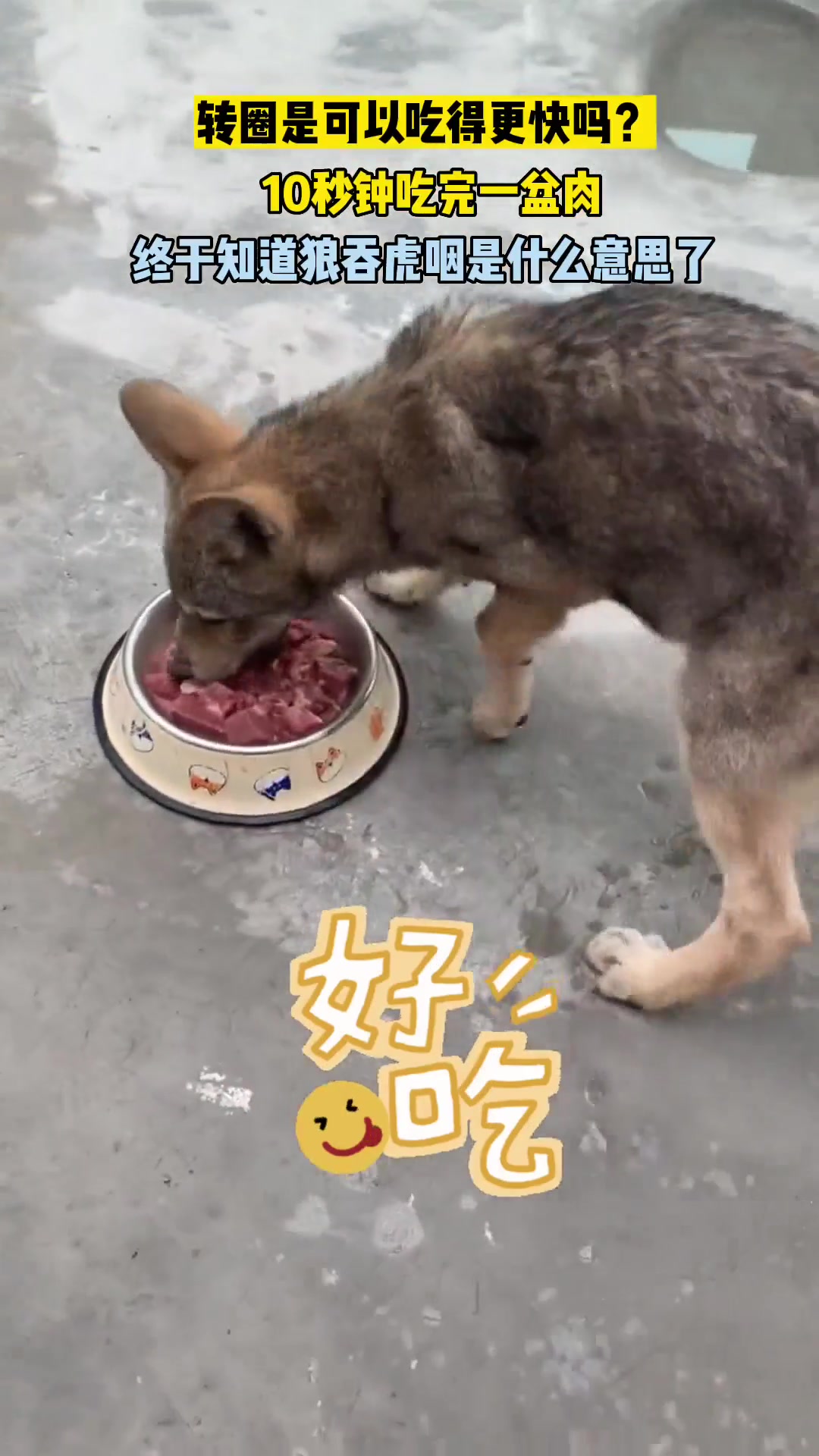 第一次理解了狼吞虎咽这个成语！！