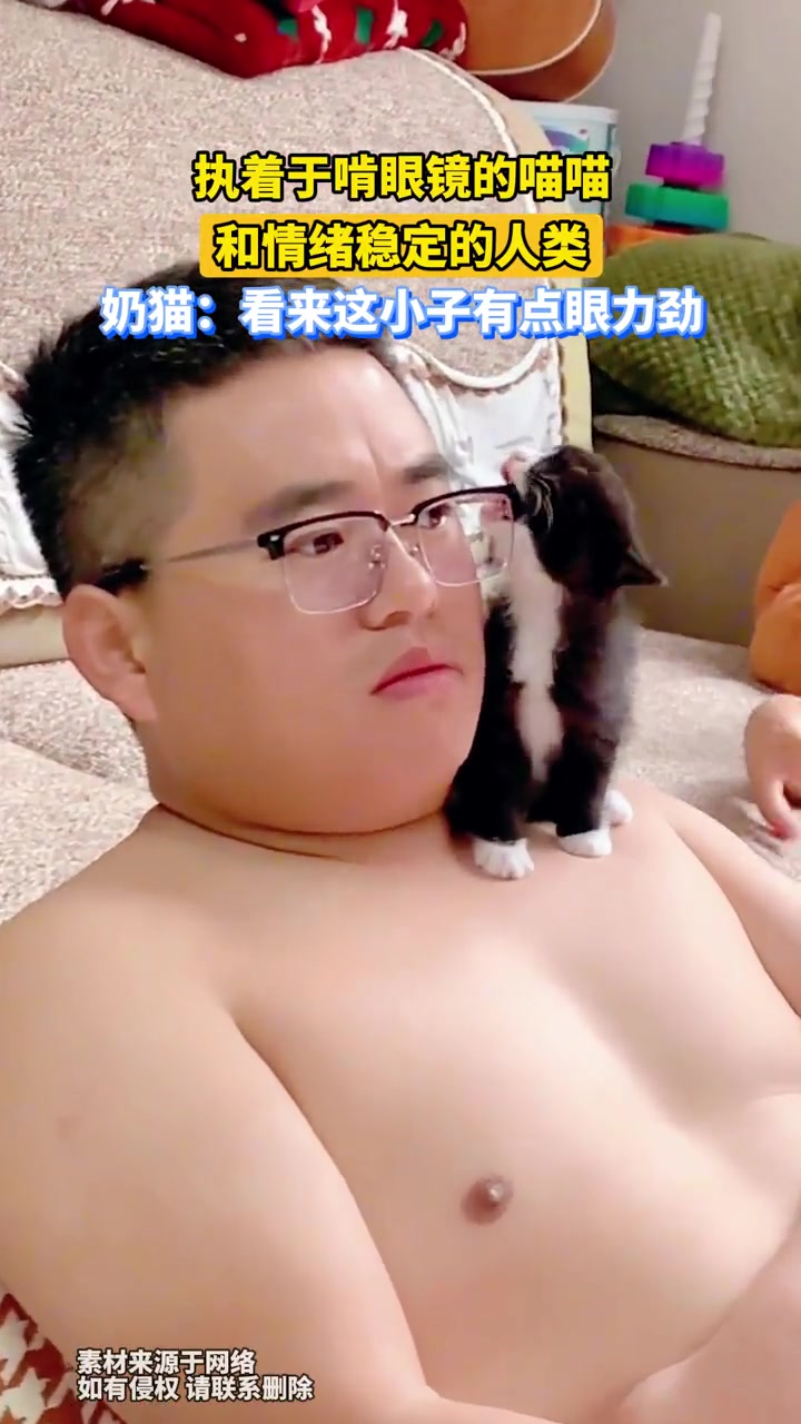 执着于啃眼镜的喵喵，和情绪稳定的人类
