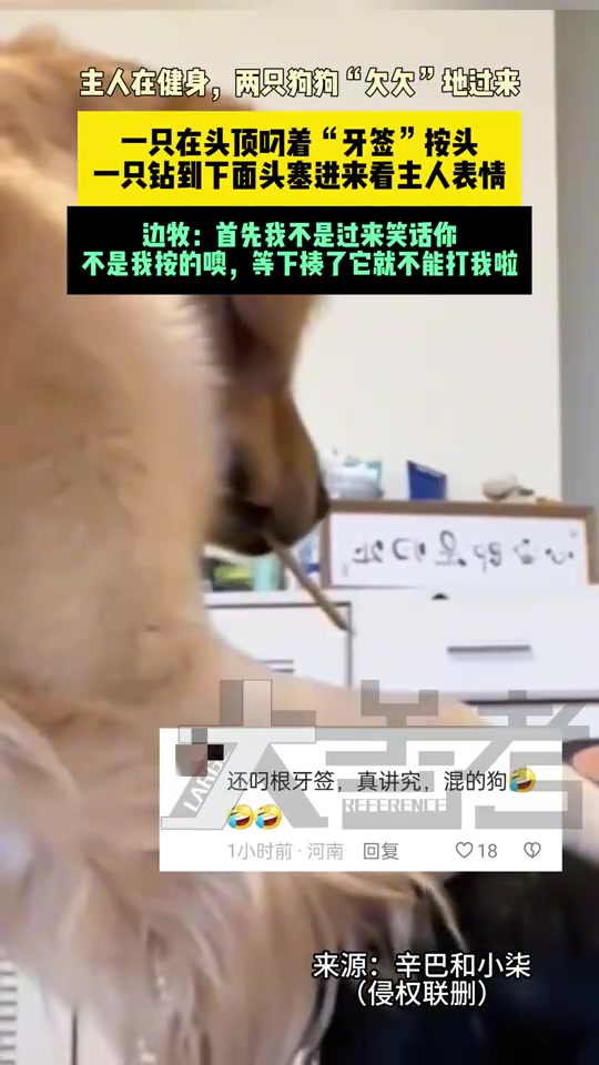 首先我不是过来笑话你，不是我按的噢，等下揍了它就不能打我啦