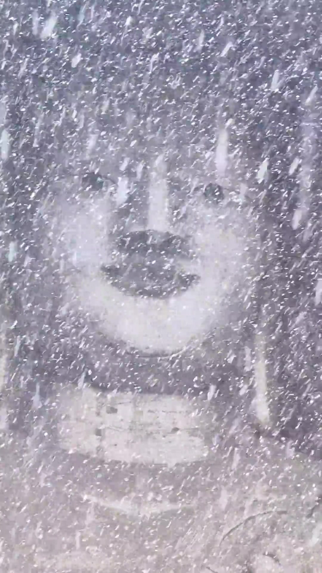 大同假期初降雪，这雪中的大佛实在太美了！