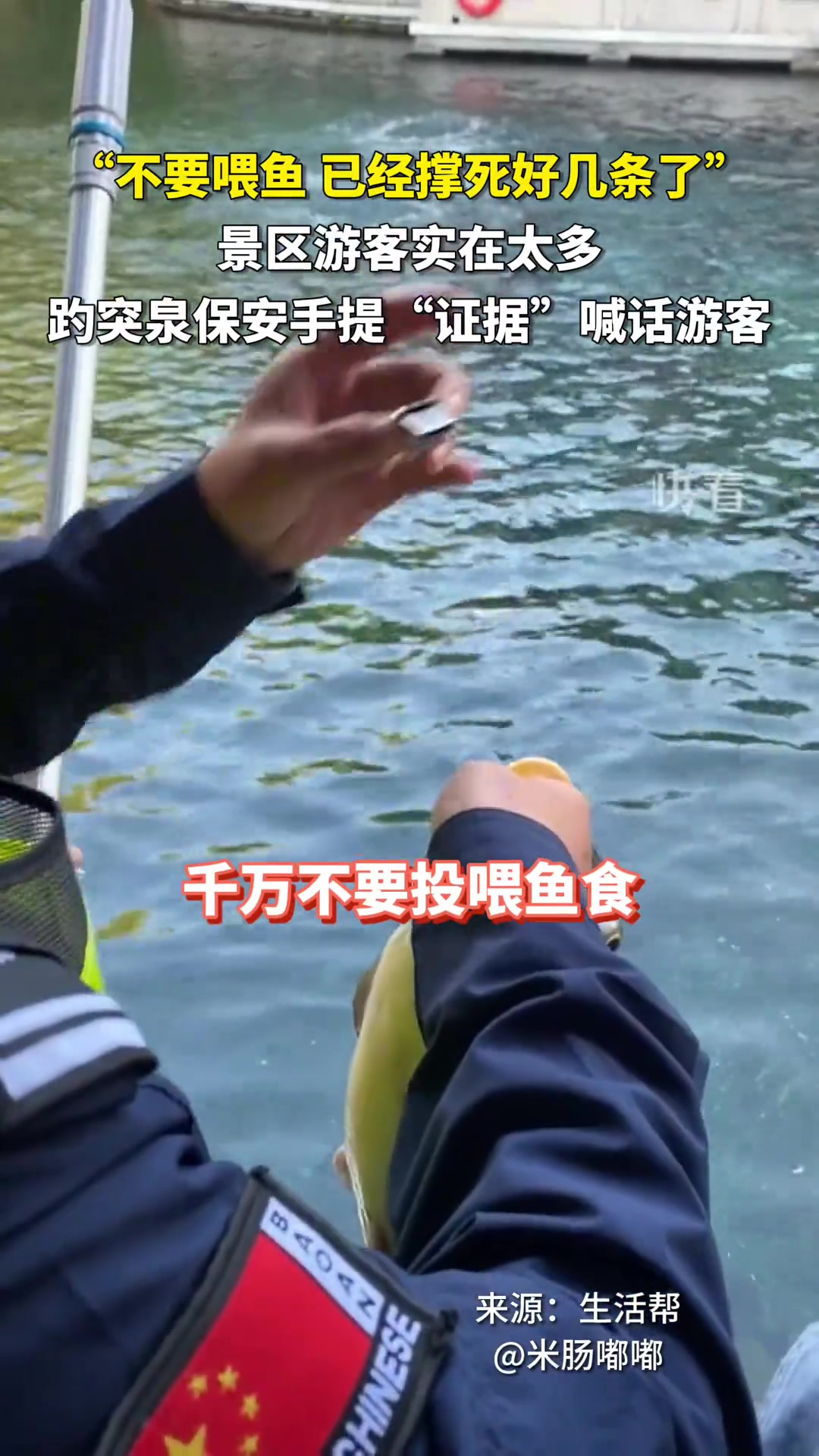 “不要喂鱼已经撑死好几条了”趵突泉保安手提证据喊话游客