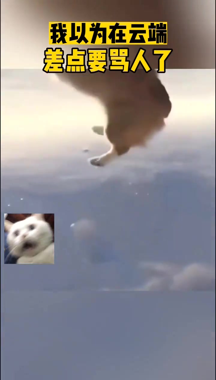 第一眼我以为在云端差点要骂人了