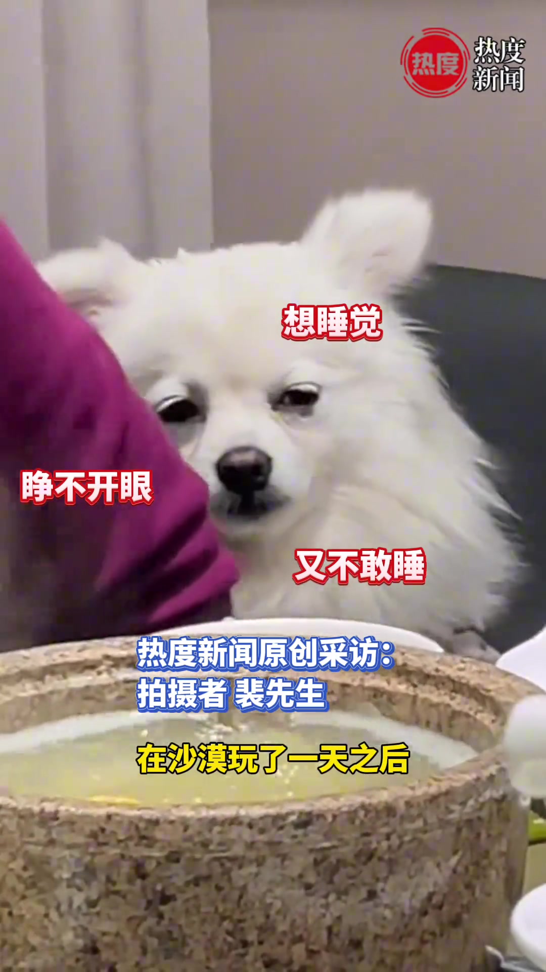 原来累成狗是这样子的啊