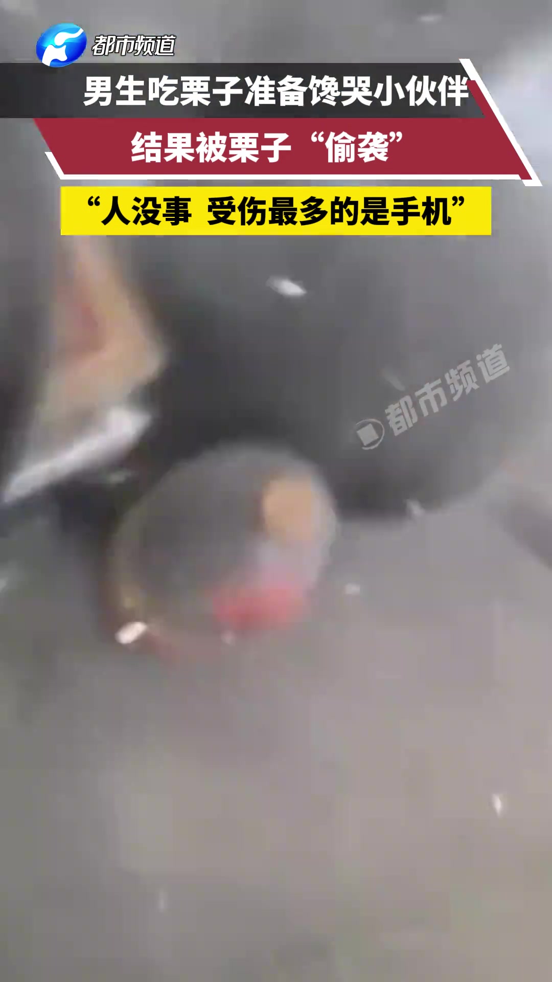男生吃栗子准备馋哭小伙伴结果被栗子“偷袭”