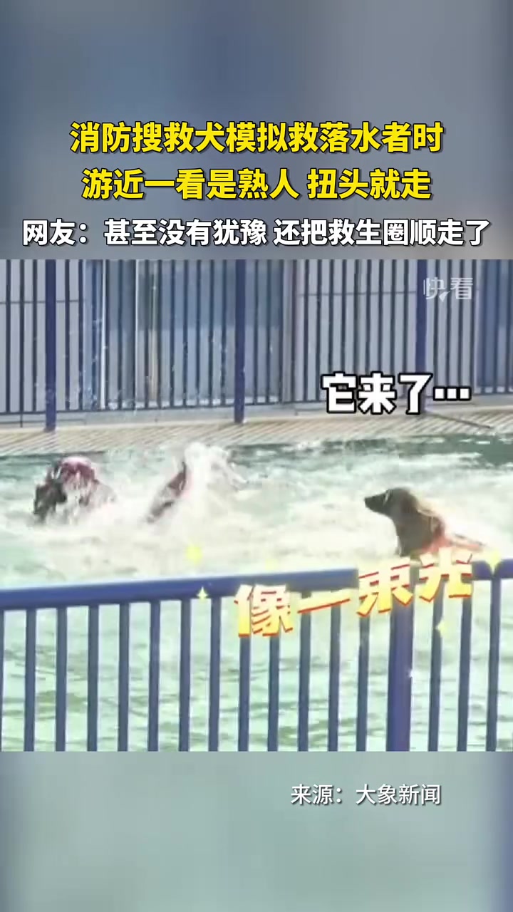 救援犬模拟救落水者时，发现是熟人掉头就走