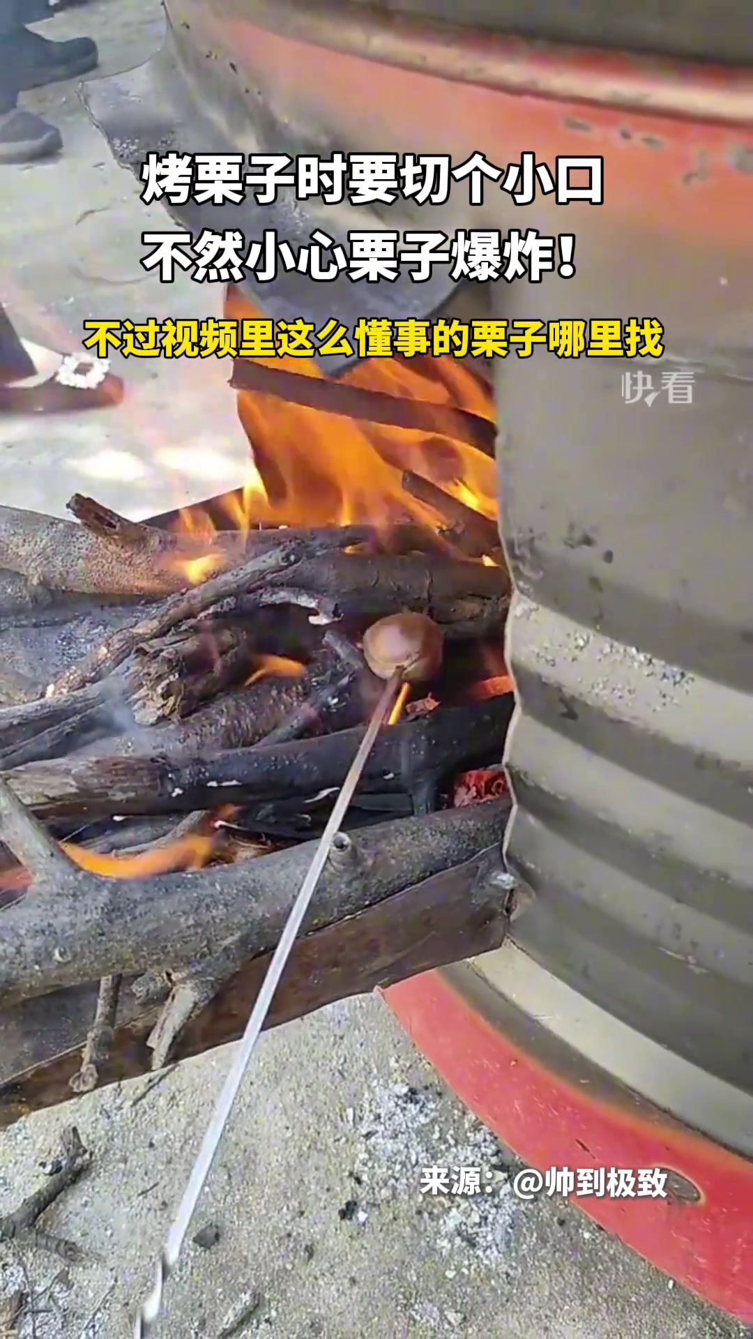 这么懂事的栗子哪里找