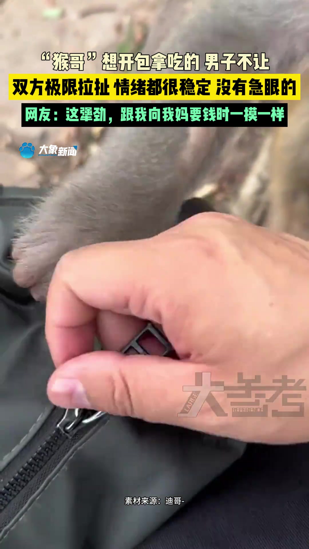 网友：这犟劲跟我向我妈要钱时一摸一样