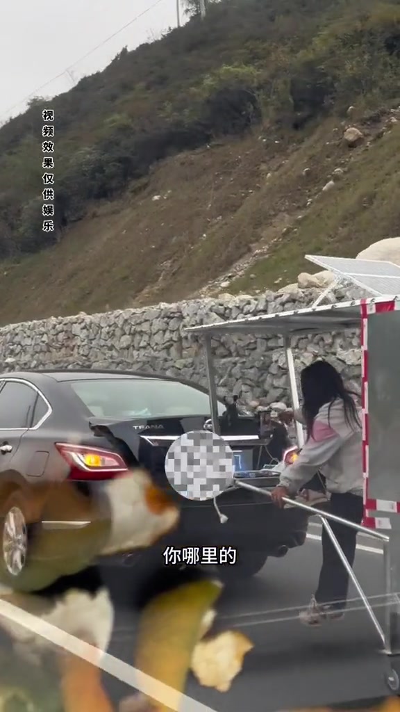 年年都有类似的“假货”却还是那么多人看