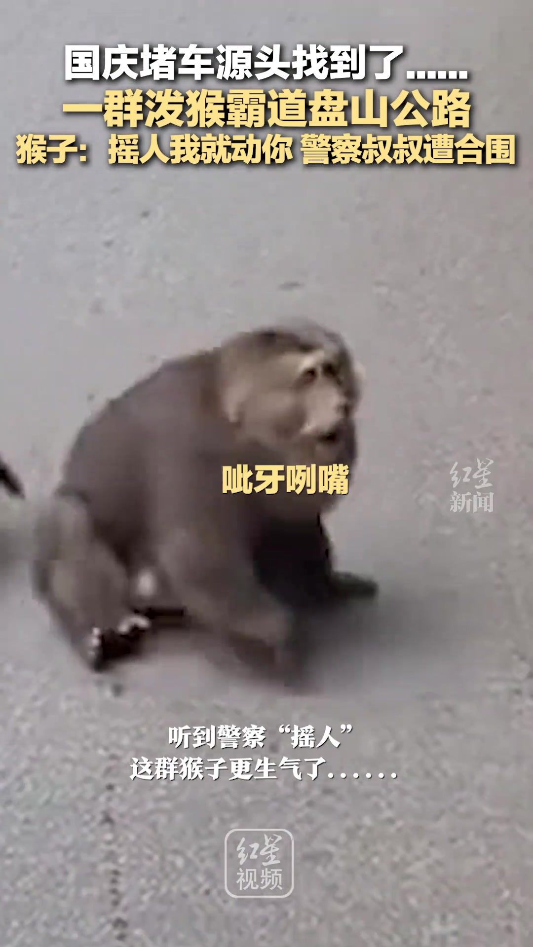 警察：真的很想报警啊，这里有猴“袭警”！！