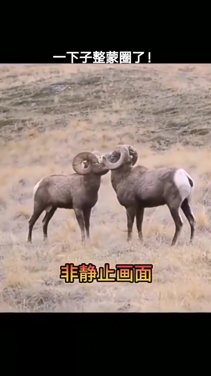 这一下有点伤脑子啊，嗡嗡的！！