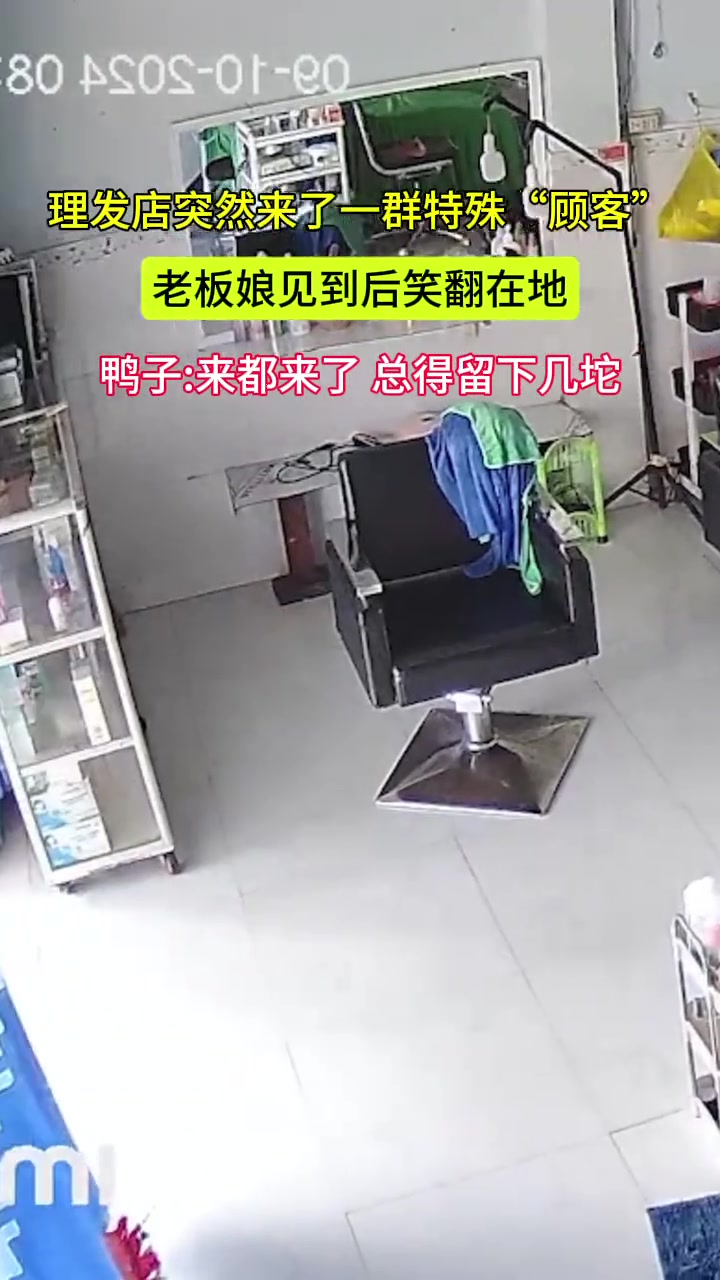 理发店突然来了一群特殊“客人”老板娘见到后笑翻在地