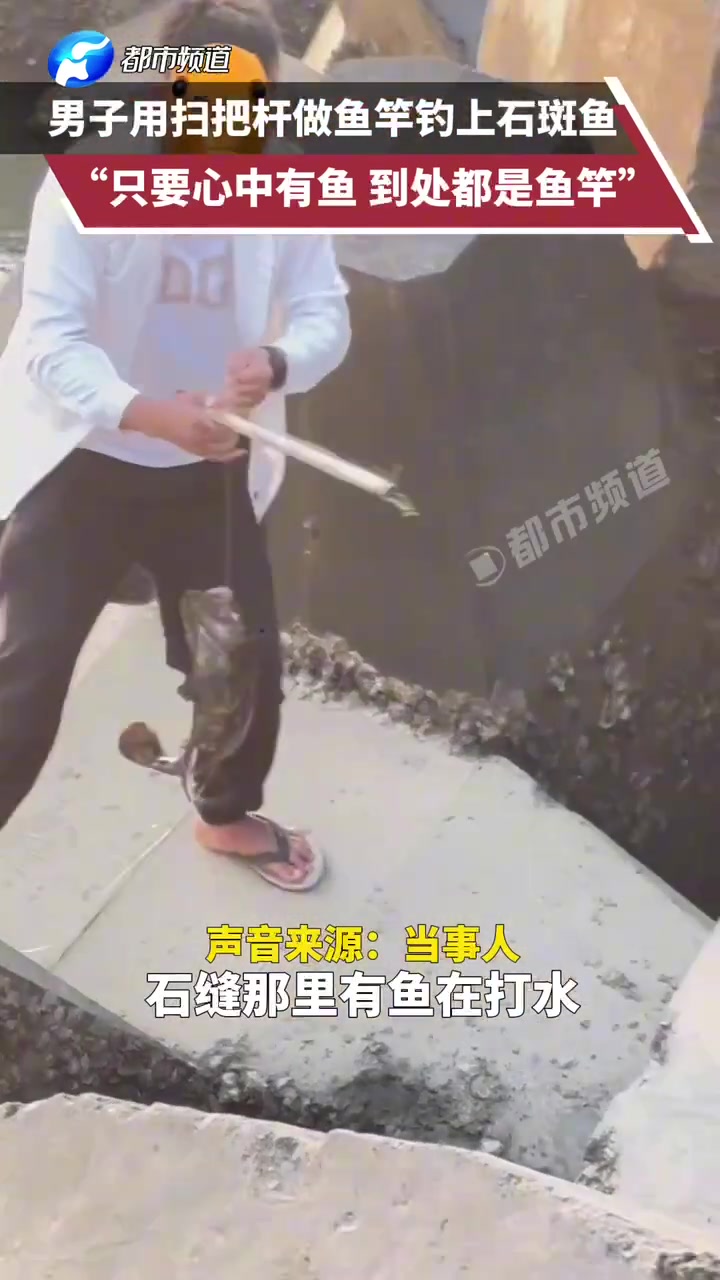 男子用扫把杆做鱼竿钓上石斑鱼，“只要心中有鱼，到处都是鱼竿”
