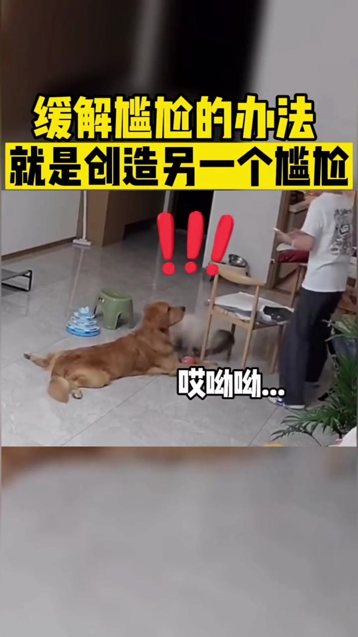 缓解尴尬的办法就是创造另一个尴尬
