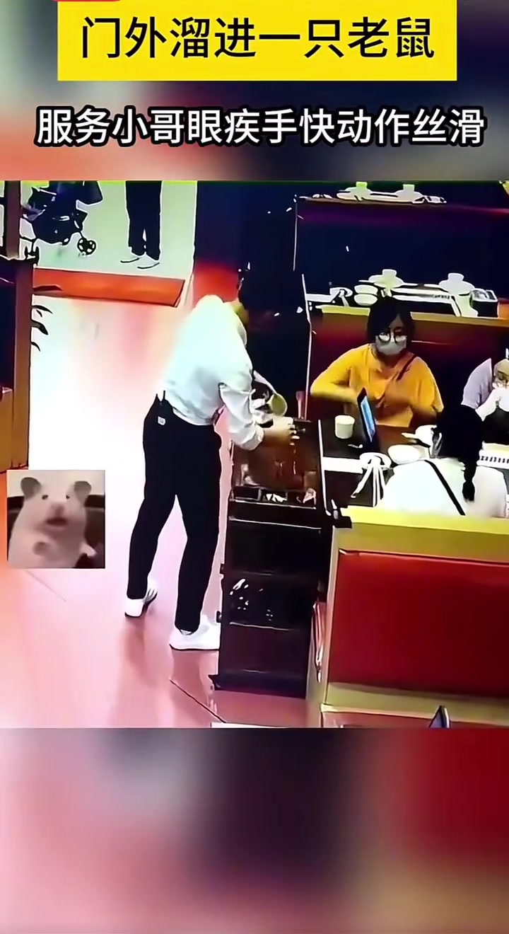 门外溜进一只老鼠服务小哥眼疾手快动作丝滑