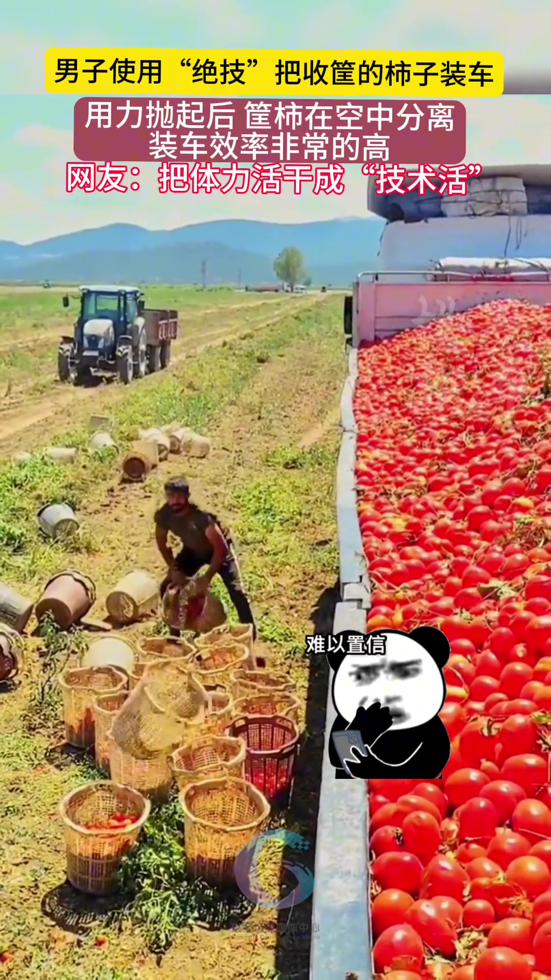 男子使用“绝技”把收筐的柿子装车这样装车效率非常的高啊