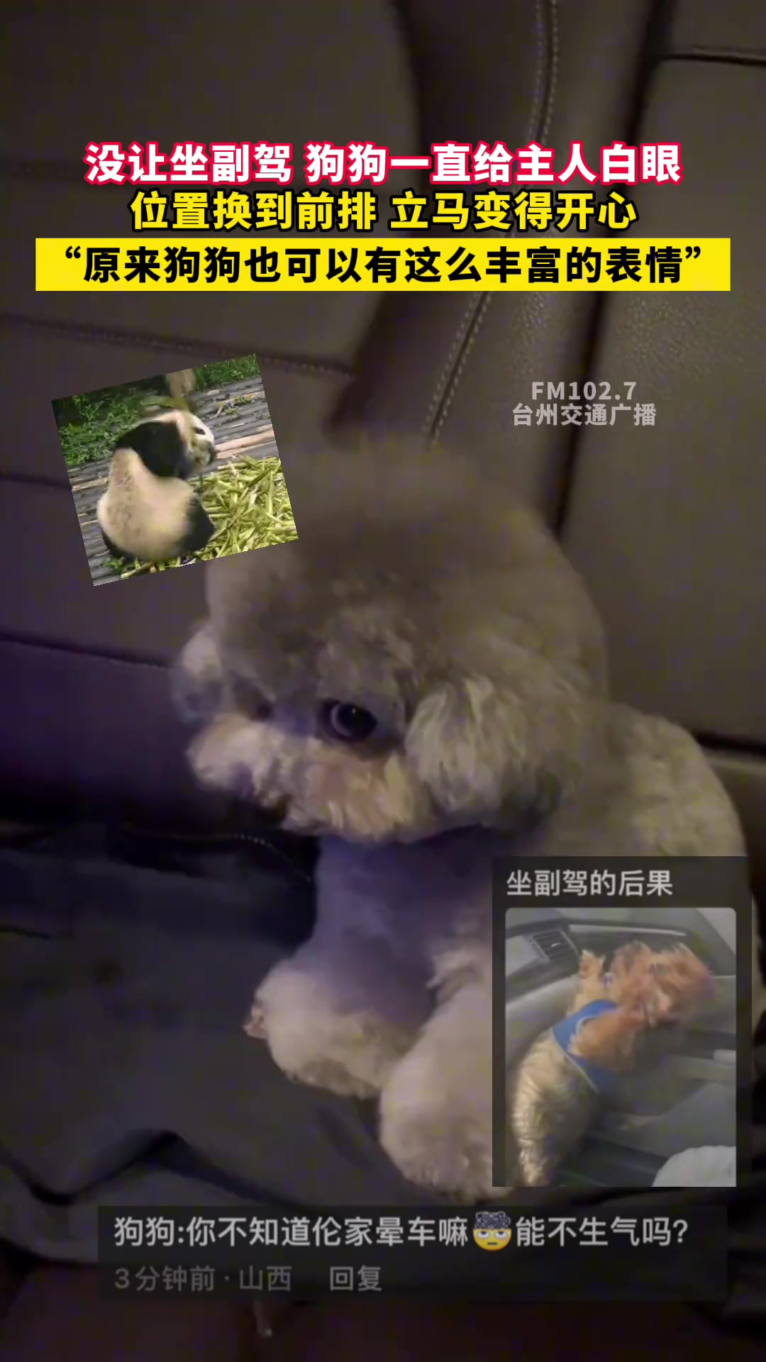 “原来狗狗也可以有这么丰富的表情“