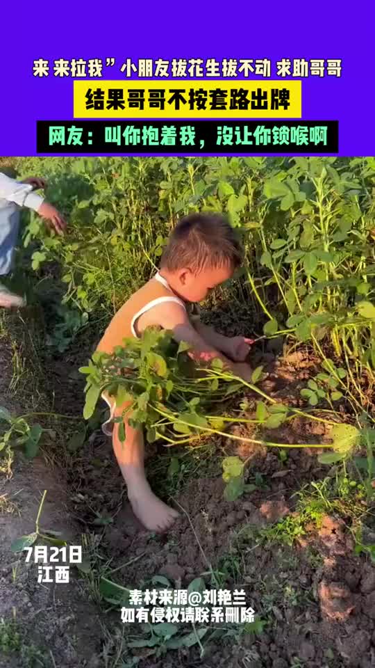 脑回路还蛮奇特的，不过是不是拔出来了！