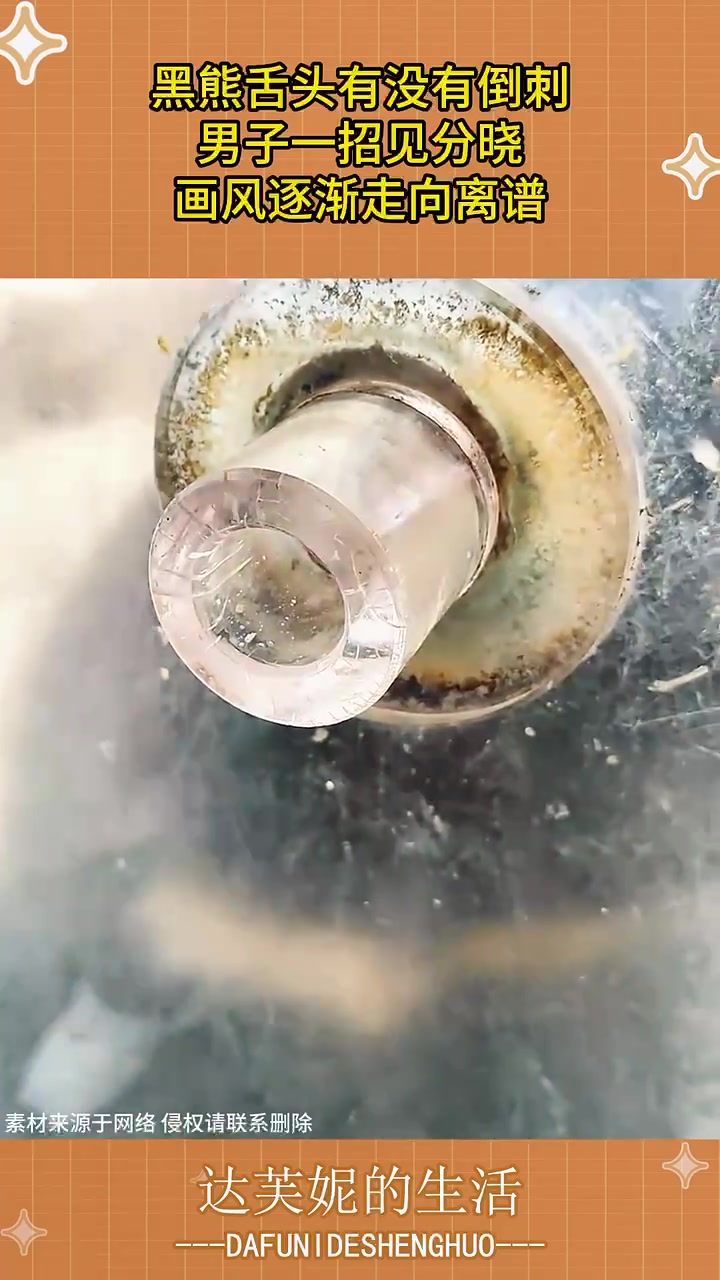 男子透过小管给黑熊喂食，画风逐渐走向离谱！