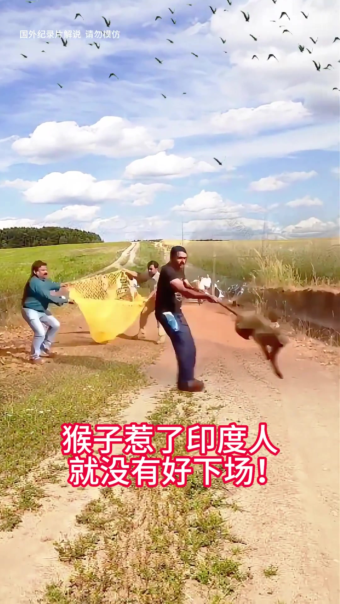 马喽也敢惹阿三哥现在是得到惩罚了