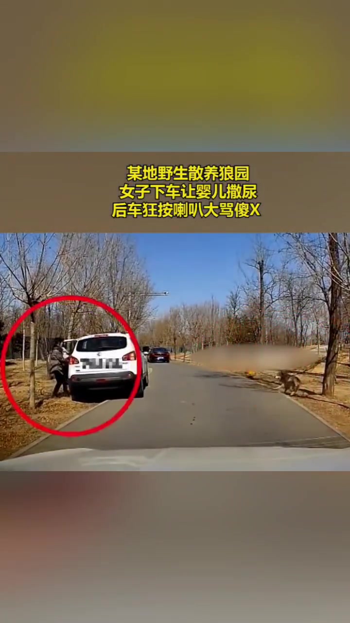 作死！某地野生狼园女子下车让婴儿撒尿，是我我高低追上去骂两句