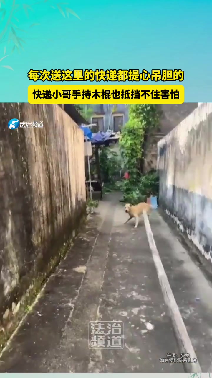 快递小哥每次送这里的快递都提心吊胆的手持木棍也抵挡不住害怕