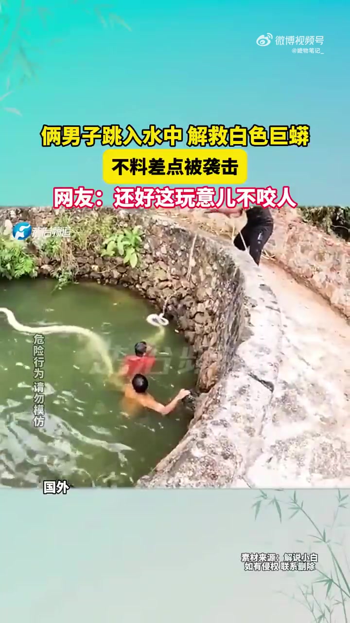 这白素贞在世啊！长的也太大了吧