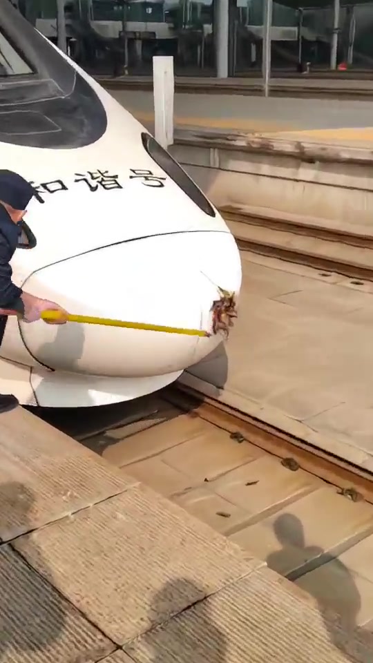 高铁车头鲜血淋淋竟然是....速度快真的就能怼进去吗！
