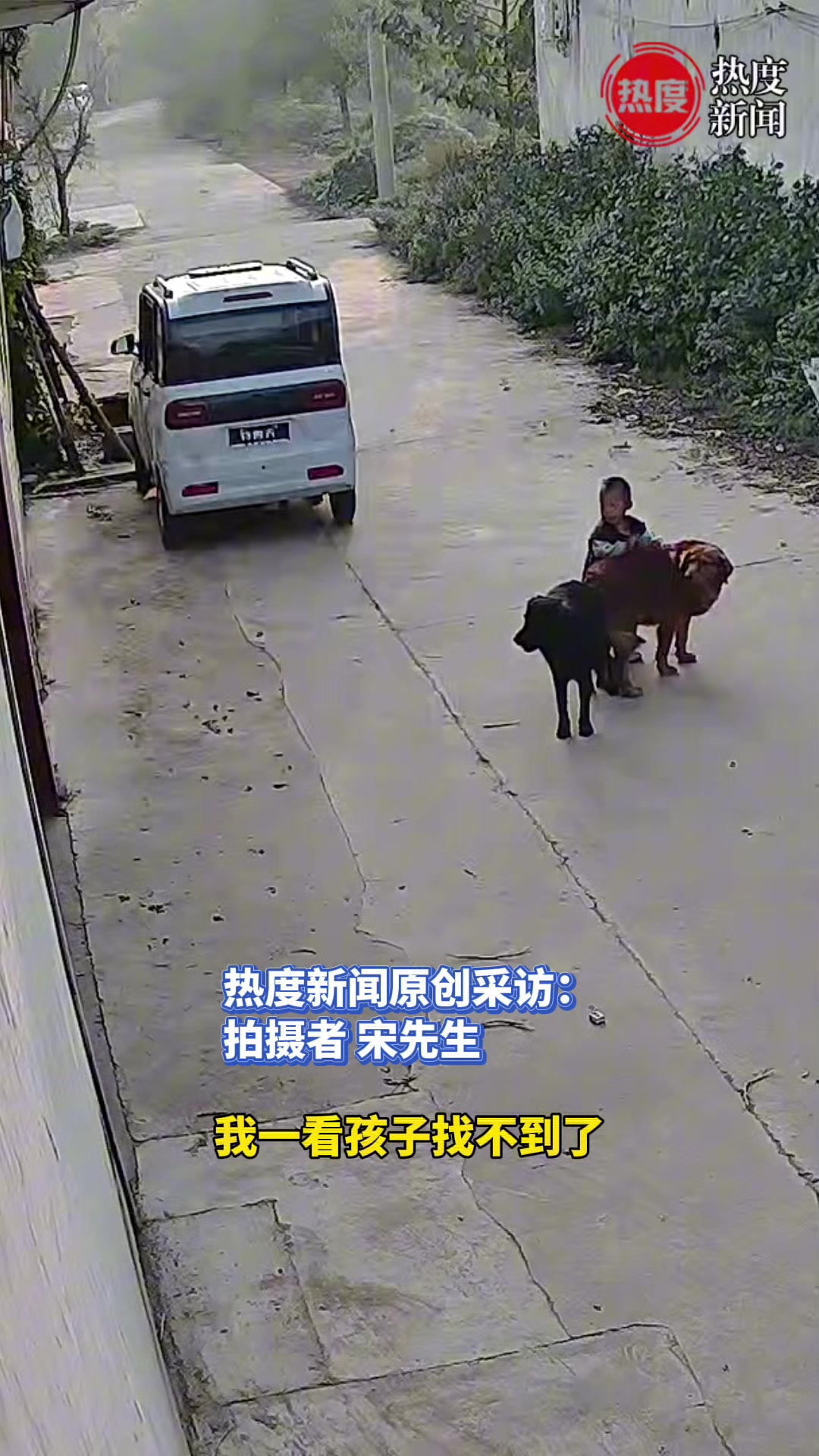 男子刷牙时发现宝宝不见了，出门一看在摸俩大狗