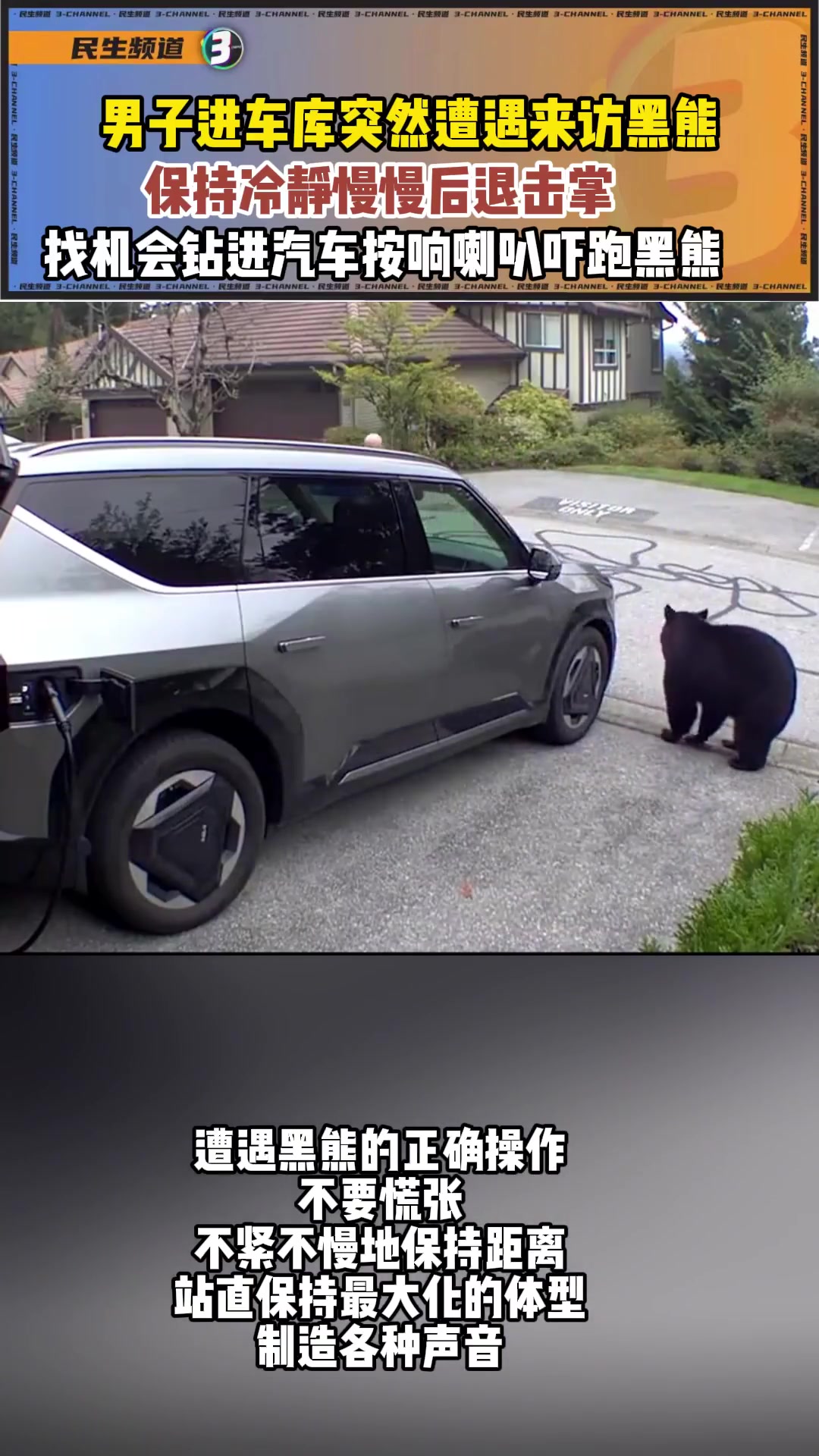 外国男子进车库突然遭遇来访黑熊！自救堪称教科书级！