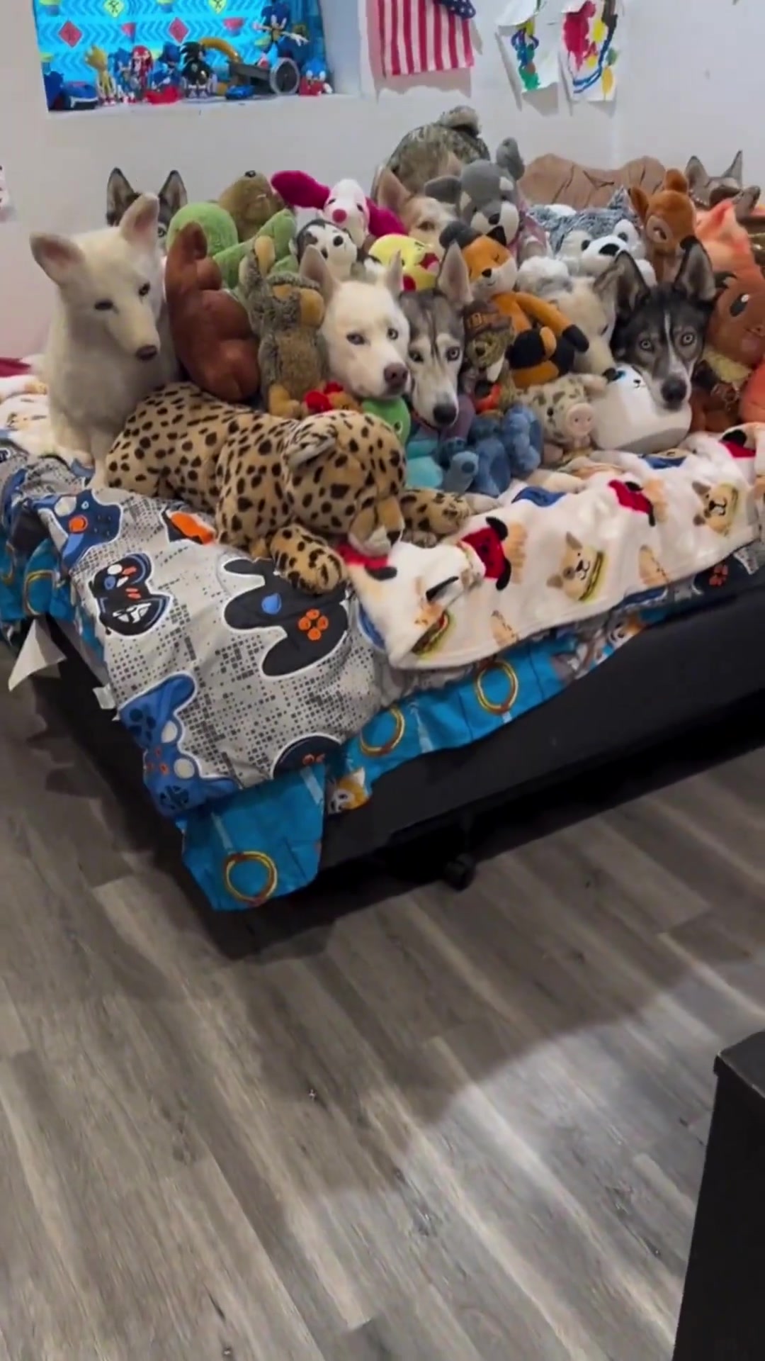 说真的，是在下眼拙了