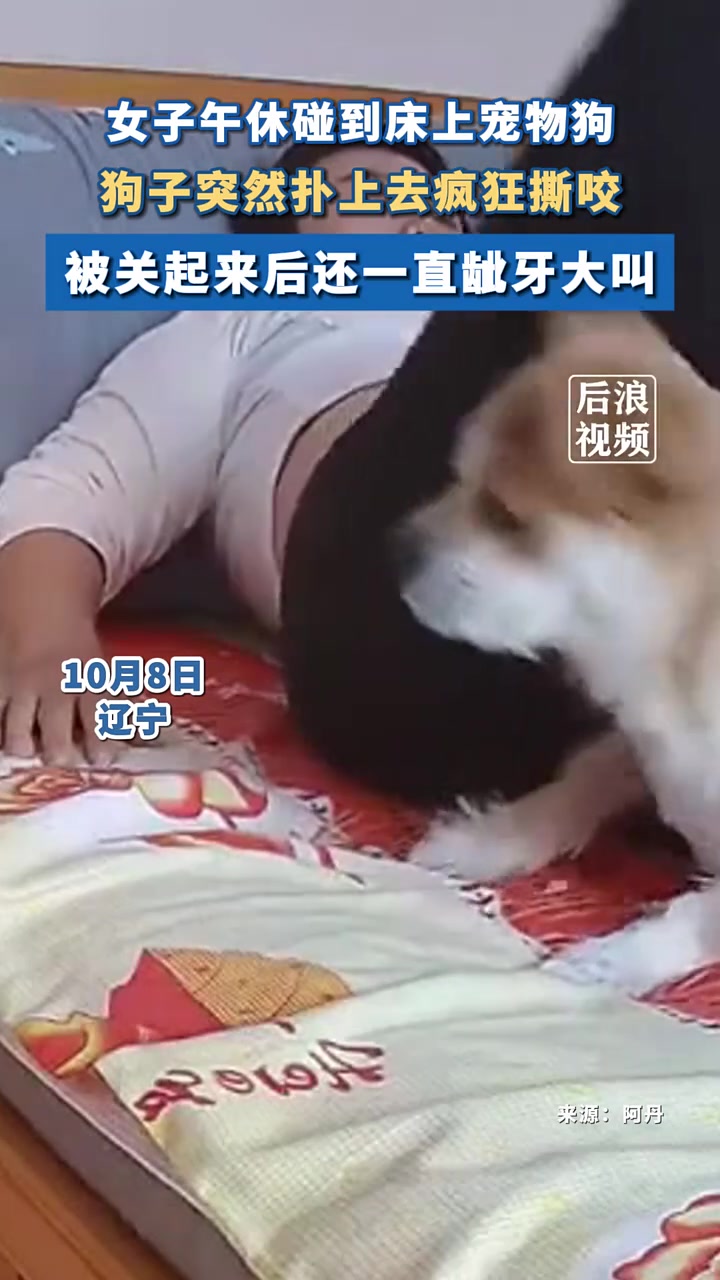 女子睡觉碰到宠物狗，狗子突然扑上去疯狂撕咬
