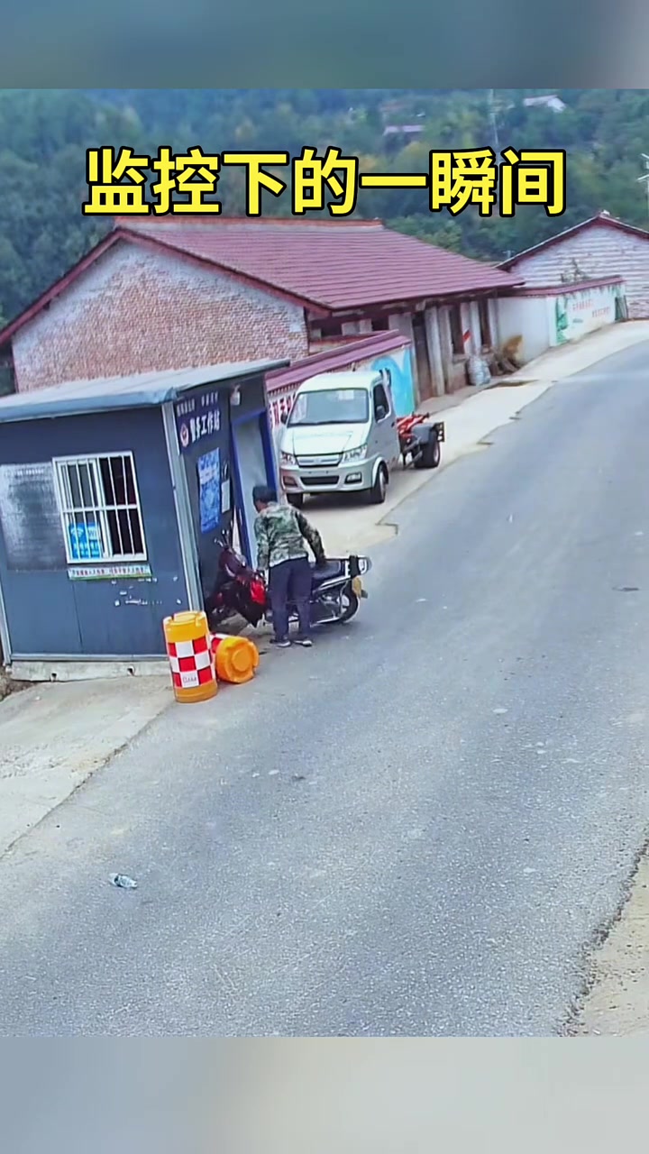 狗肇事逃逸！这种情况谁的责任