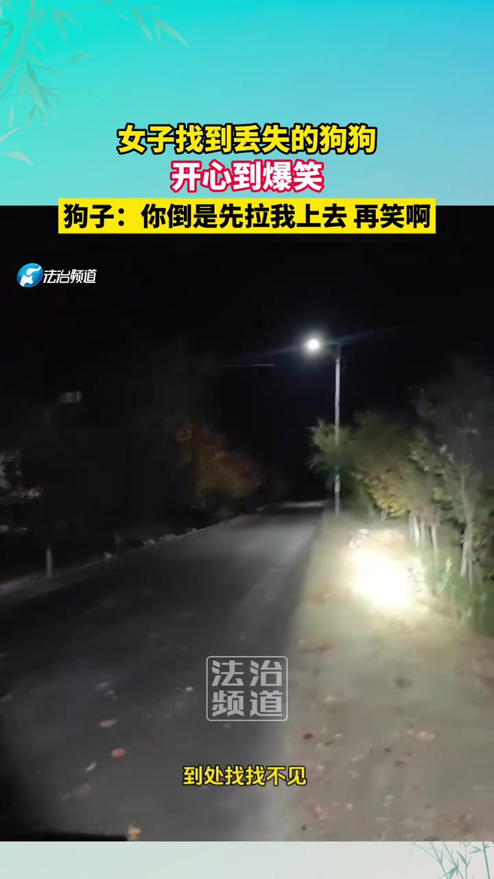 女子找到丢失的狗狗，开心到爆笑狗子：你倒是先拉我上去啊