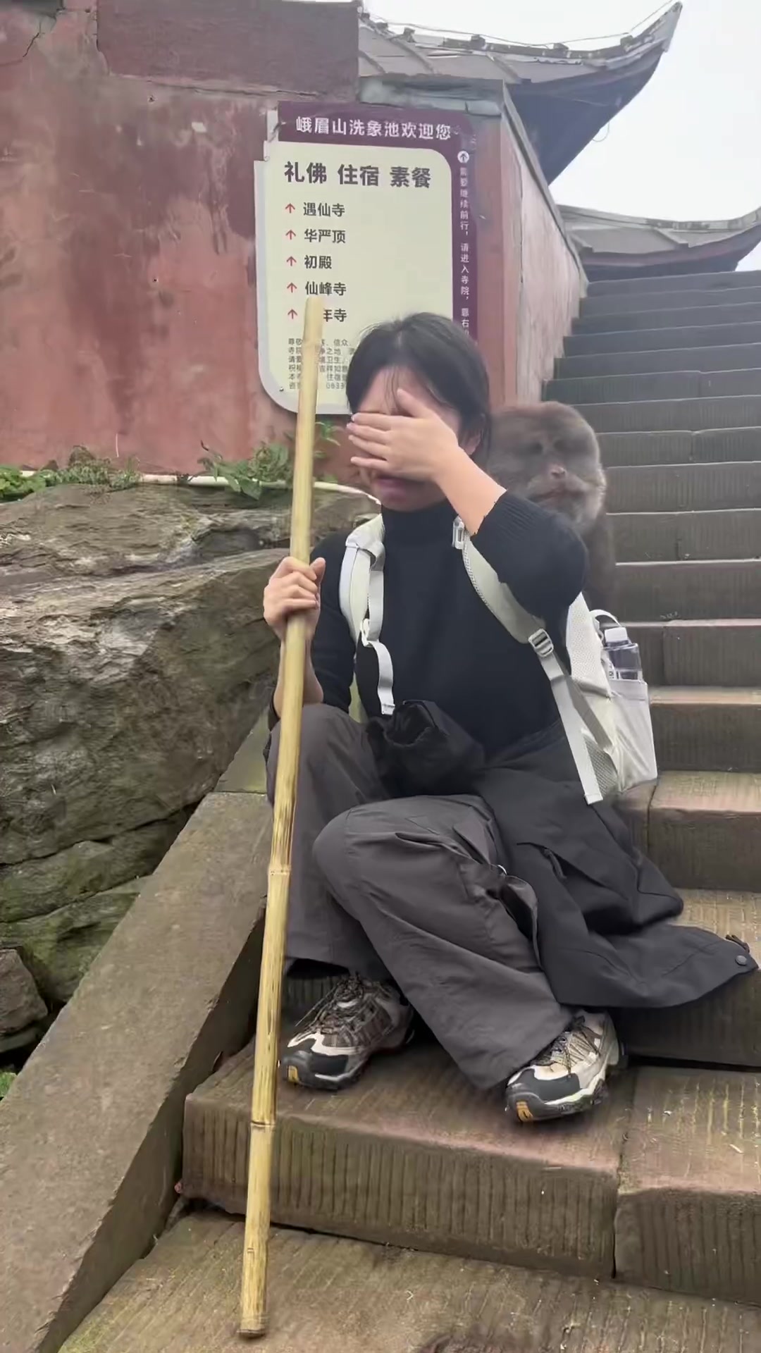 小姐姐笑着爬峨眉山，伤心着被峨眉山猴子搜包！